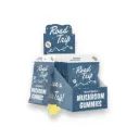 Road Trip Desert Stardust Mushroom Gummies Pineapple  Display Box of 10